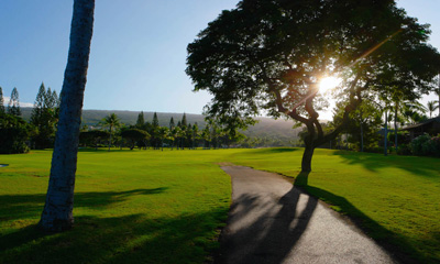 tree next to the cart path, blocking some of the sun